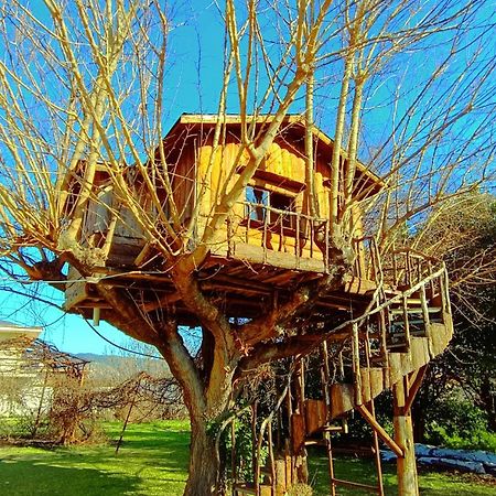 Apartament Το Πέτρινο Σπιτάκι Tríkala Zewnętrze zdjęcie